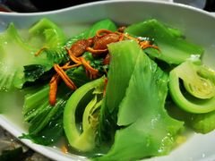 -石岐乳鸽村(桥观坊南四巷店)