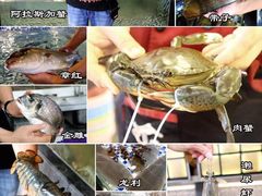 -顺德了能馆(虎门店)