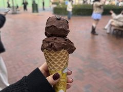 -IL paperino帕帕里诺冰激凌