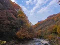 -光雾山旅游景区