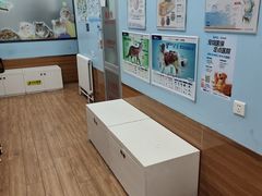 -瑞派·关忠动物医院·异宠专科·犬猫肿瘤·皮肤专科(望京店)