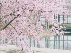 -上海辰山植物园