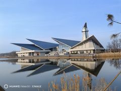 -盐城丹顶鹤湿地生态旅游区