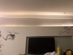 -白玉兰酒店(上海田子坊马当路地铁站店)