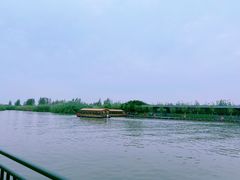 -泗洪洪泽湖湿地景区