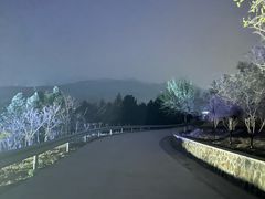 -红光山