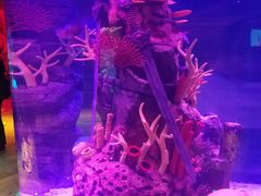 -沈阳海洋探索中心