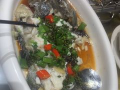 -陶缘一号·四季缘·老字号顺德菜·户外婚礼家宴(西滘店)