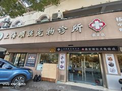 -顺强宠物诊所·狂犬免疫·夜诊·骨科(嘉定店)
