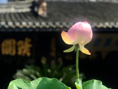 -宝光寺