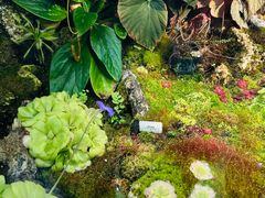 -北京植物园-展览温室