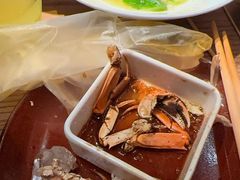 -杨氏青龙虾·羊蝎子(金盛路总店)