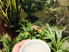 -茶油香闽南菜·花园餐厅(前埔店)