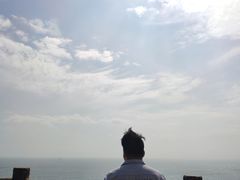 -广东惠东海龟国家级自然保护区