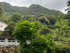 -雁南飞茶田景区