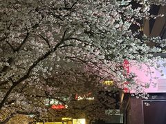 -玛格萝妮比萨屋(四平店)