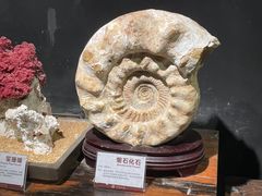 -许家山
