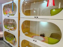 -青奢宠物·青奢猫舍