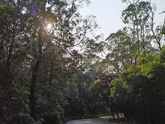 -大雁山风景区