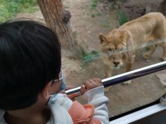 -西安秦岭野生动物园