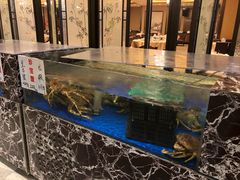 水产区-宝园酒家(美林M·LIVE天地东座店)