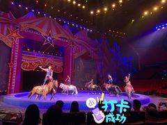 -珠海横琴长隆《卡卡虎奇遇记》