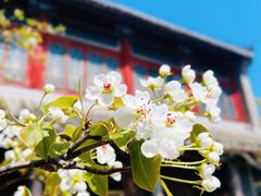 -潭柘寺景区