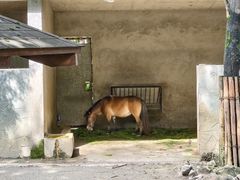 -成都动物园