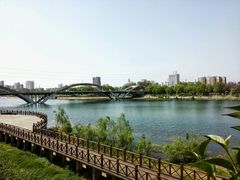 景点-沙澧河风景区