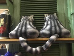 -猫咪博物馆(顶澳仔猫街店)