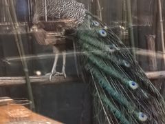 -春记潮汕牛肉火锅