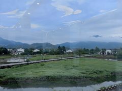 -黄牛肉馆·皖南土菜