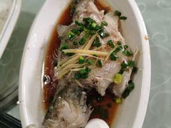 -区海鸡场饭店(石壁店)