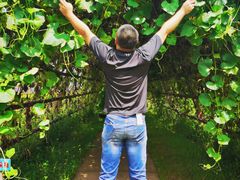 -北纬44度·金珠花海休闲农业旅游景区