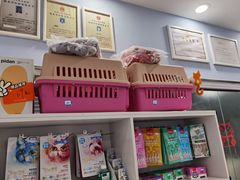 -纳吉亚猫专科动物诊疗中心(蒋宅口分院)