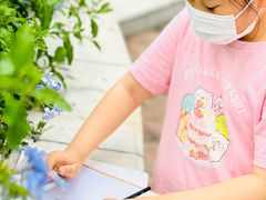 -杨梅红艺术教育(百花教学中心)
