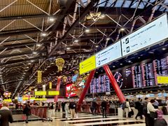 -谢列梅捷沃国际机场