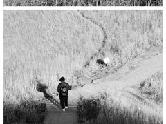 -萍乡武功山风景名胜区