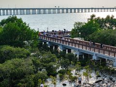 -宝安西湾红树林湿地公园