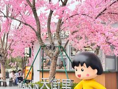 -首开·龙湖成都西宸天街
