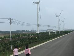 -上海长兴岛郊野公园