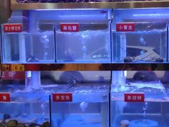 -小龍鳳·港式海鲜打边炉(沙湖路店)