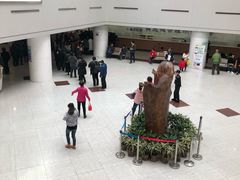 -上海市东方医院南院体检中心