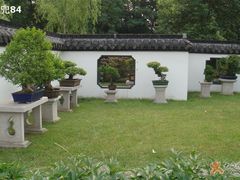 -盆景园(扬州大运河文化旅游度假区)