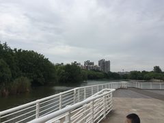 -新江湾城公园