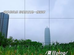 -郑东新区湿地公园