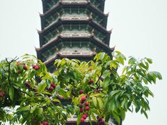 -西禅古寺售票处