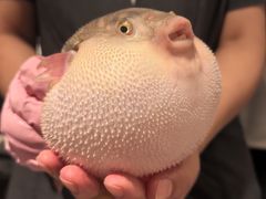 -永安鱼庄·镇江菜(东吴路店)