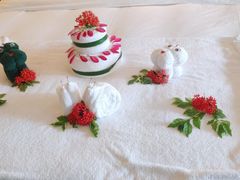 -石梅湾艾美度假酒店