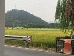 -李东农庄(中南百草园地标店)